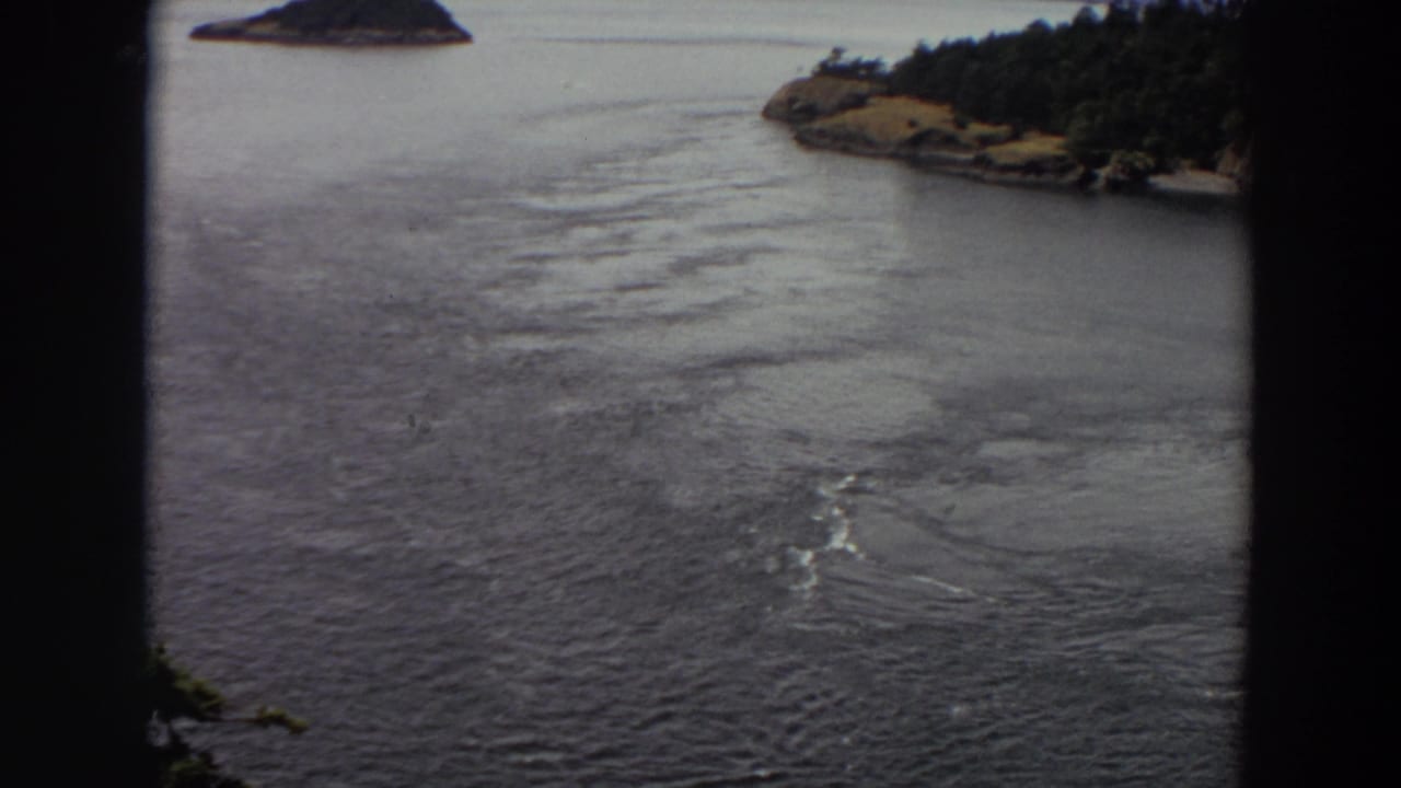 1964 Washington home-movie frame of calm rippled water with a wooded shore at right and a small island in the distance.