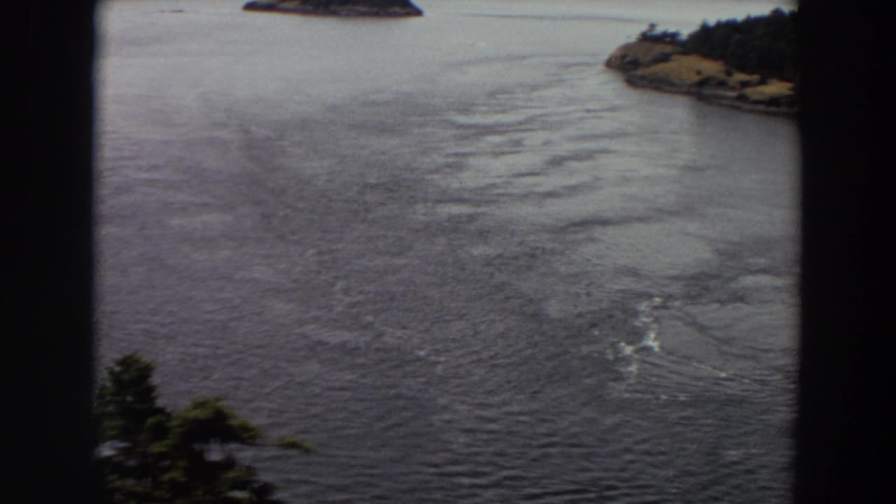 1964 Washington 8mm frame showing rippled water, a distant shore, dark foreground borders, and evergreen foliage near the bottom edge.