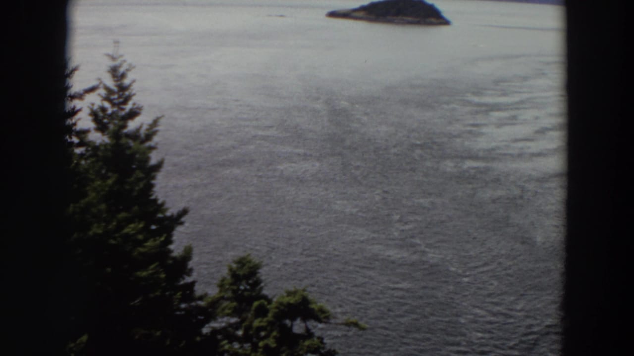 Tree silhouettes frame open water with a small wooded island in the distance.