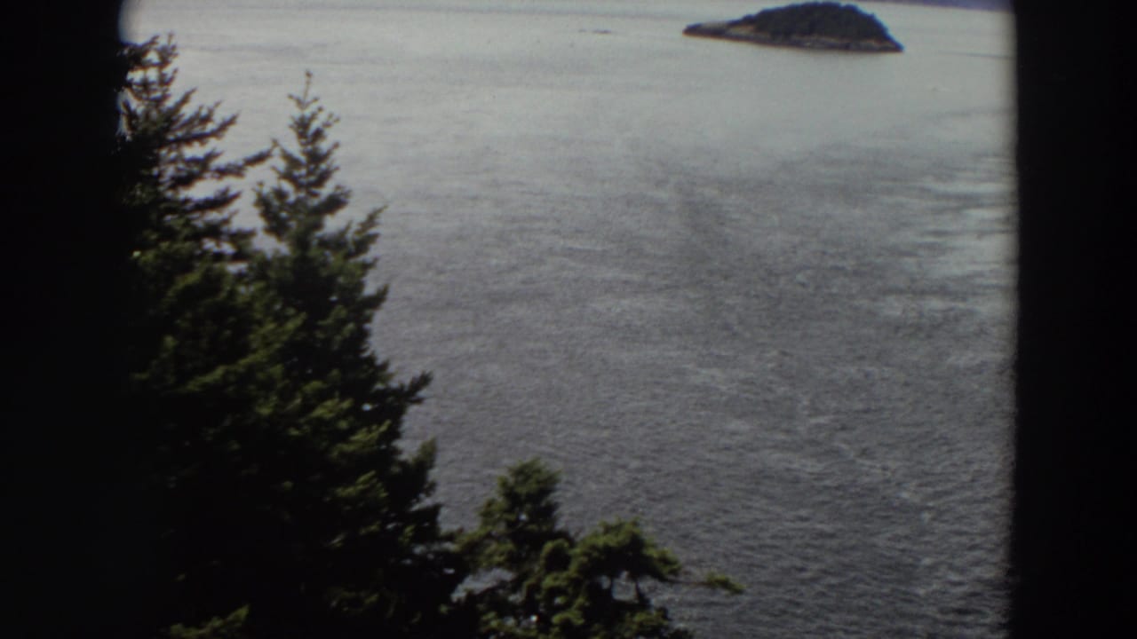 Washington home-movie view across the water, with evergreens in silhouette and a small island near the upper frame.