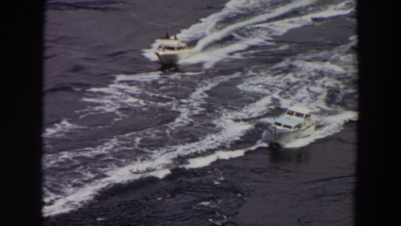 Two white motorboats cross dark water, leaving curved wakes behind them.