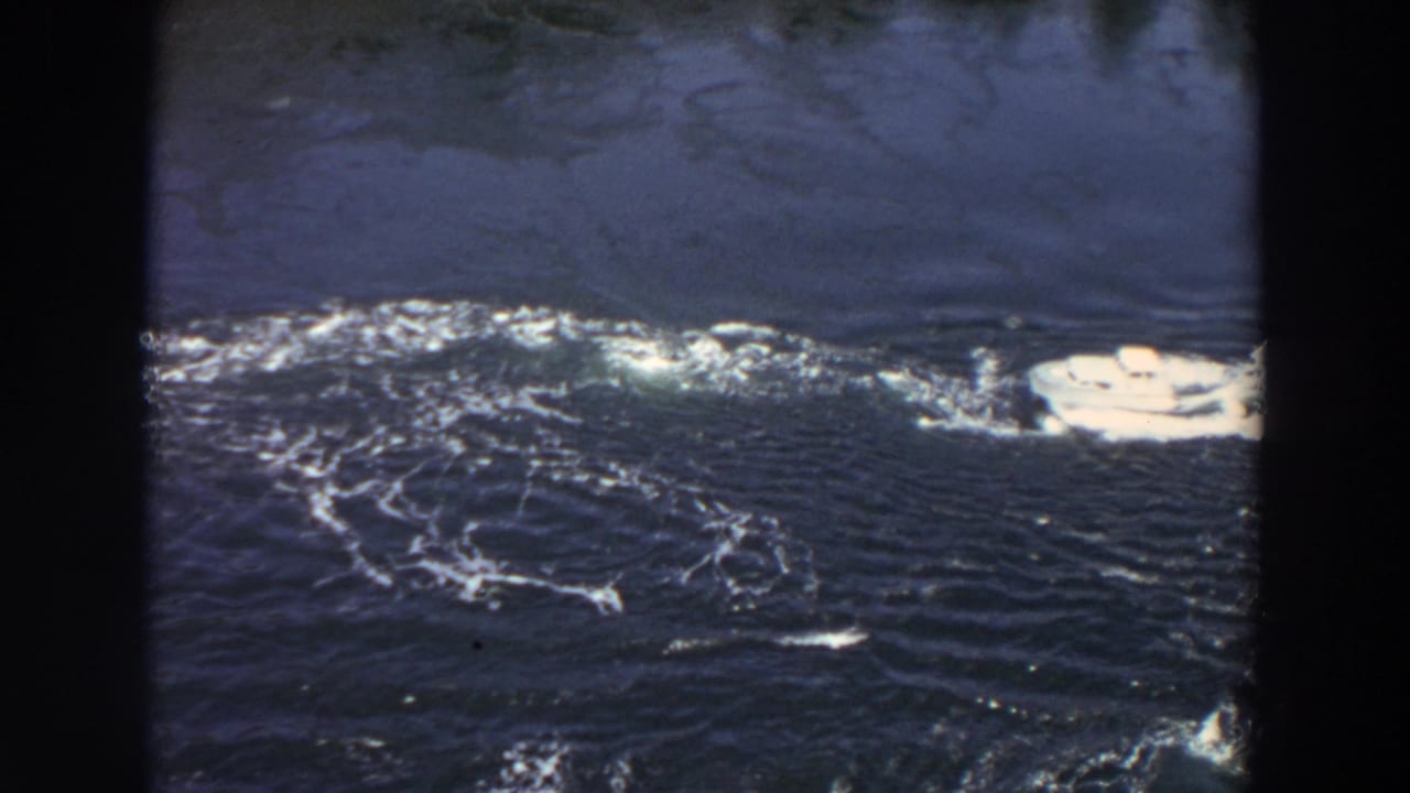 White motor yacht crosses dark inlet water, leaving a foamy wake near the shore.