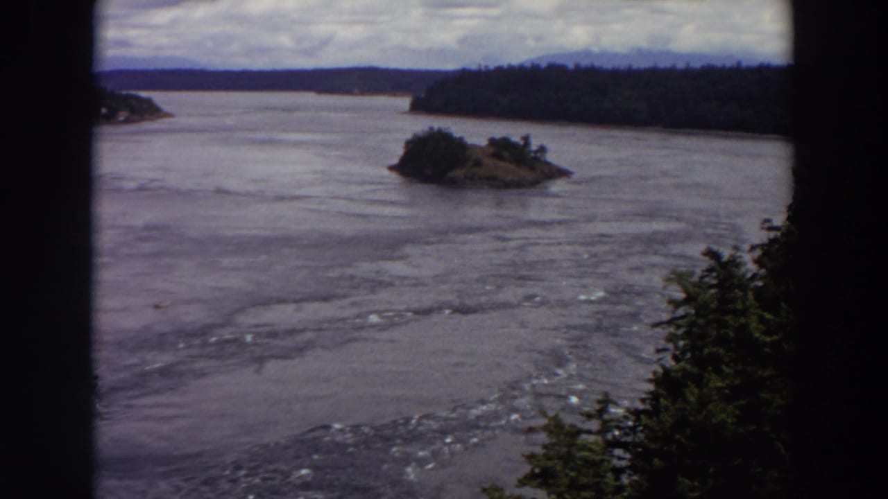 1964 Washington home-movie frame of a small wooded island in a broad waterway, with evergreen trees and distant forested shore.