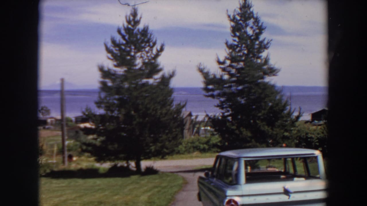 Light blue station wagon parked by a lawn with tall conifers and water in the background.