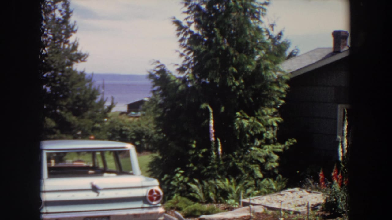 Pale blue station wagon beside a grey house and garden with water in the distance.