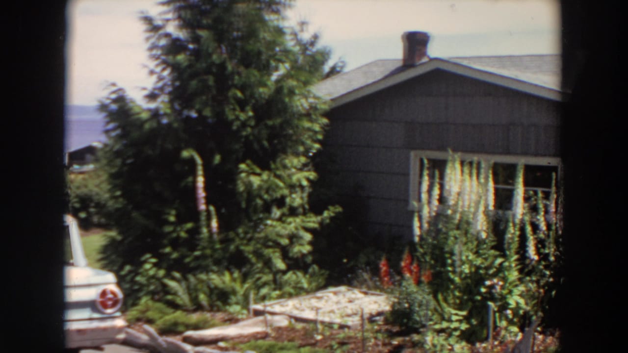1964 Washington exterior view of a grey shingled house, lush garden plantings, trees, and a partial pale car seen through framing.