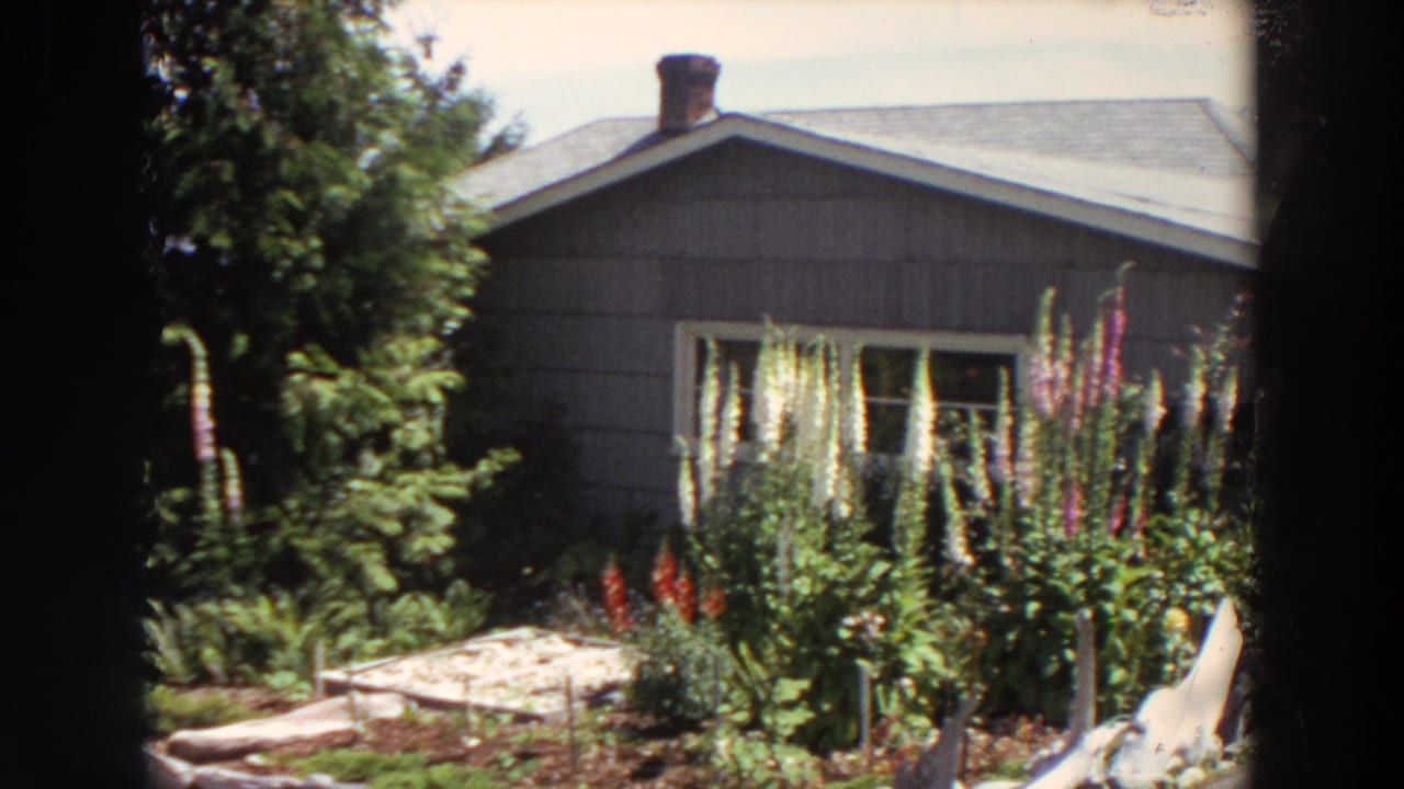 1964 Washington home-movie view of a grey house fronted by tall flowering plants, shrubs, garden beds, and dark window framing.