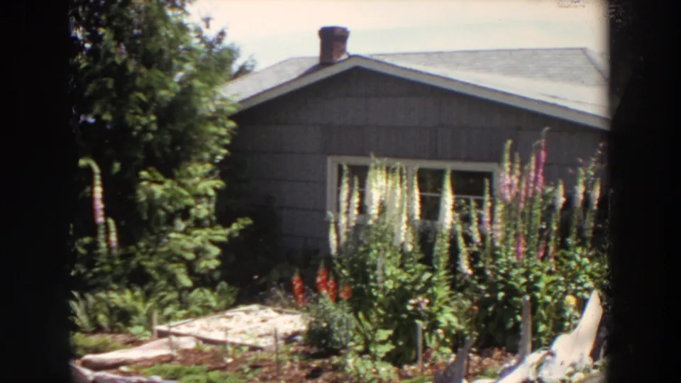 1964 Washington home-movie view of a grey house fronted by tall flowering plants, shrubs, garden beds, and dark window framing.