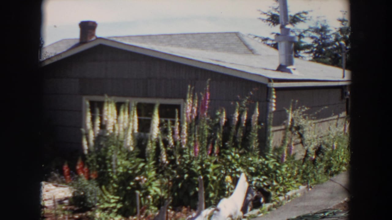 Dark-sided house behind tall garden flowers and a paved backyard walk.