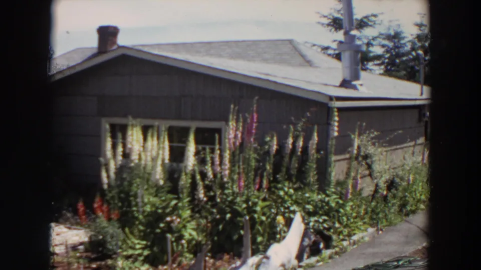 1964 Washington home-movie frame showing a dark-sided house, gray roof, tall flowers, shrubs, and a backyard walkway.
