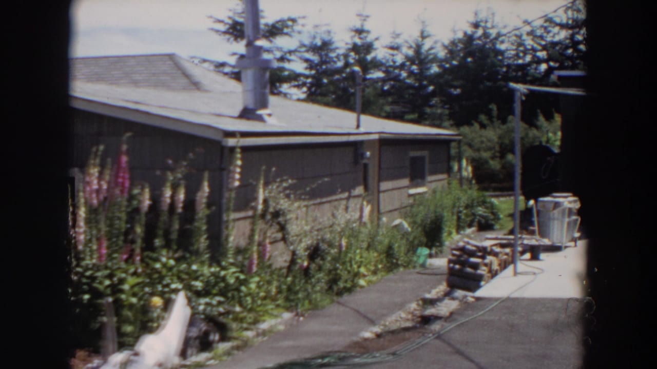 1964 Washington home-movie still showing a side yard path, dark house siding, tall flowers, shrubs, firewood, and a shaded shed or patio structure.