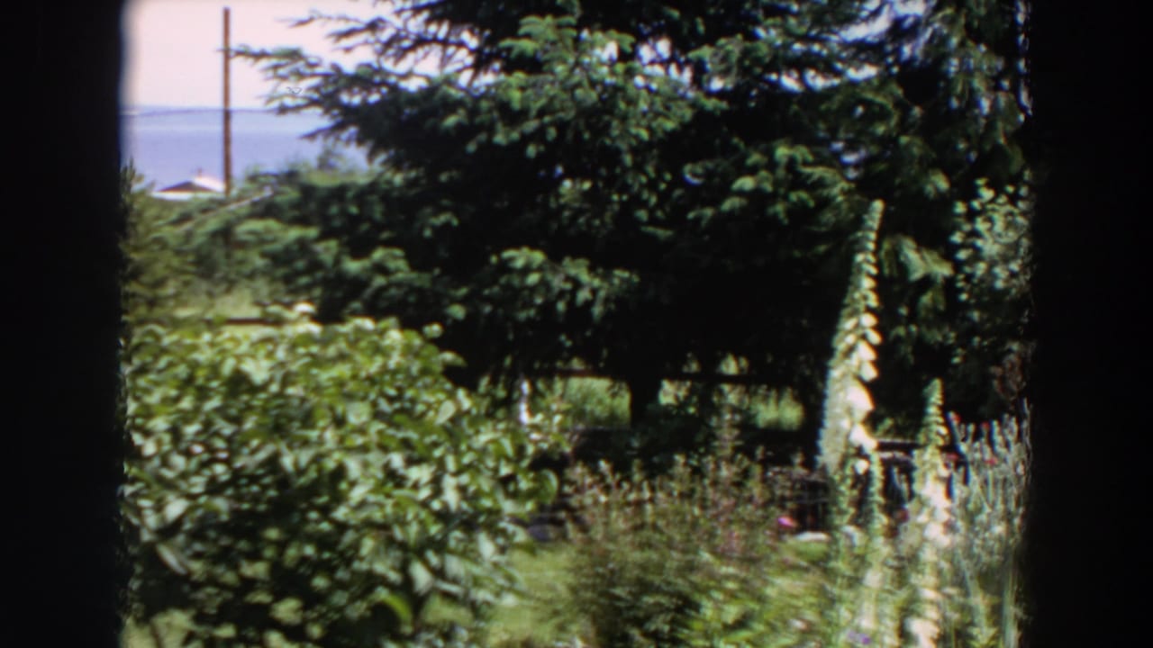 Garden and trees seen through a window with water and small buildings beyond.