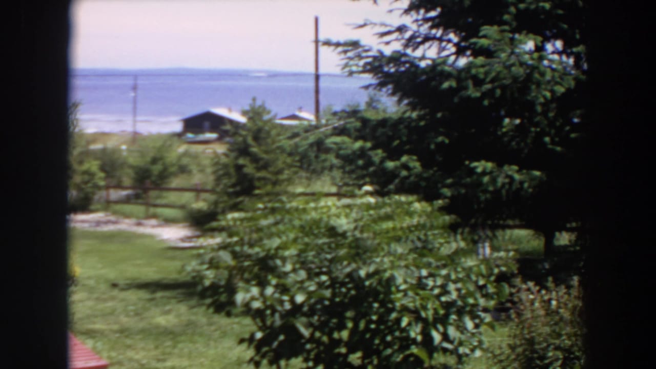 1964 Washington home-movie frame showing a lawn, shrubs, trees, utility poles, shoreline buildings, and calm water beyond.