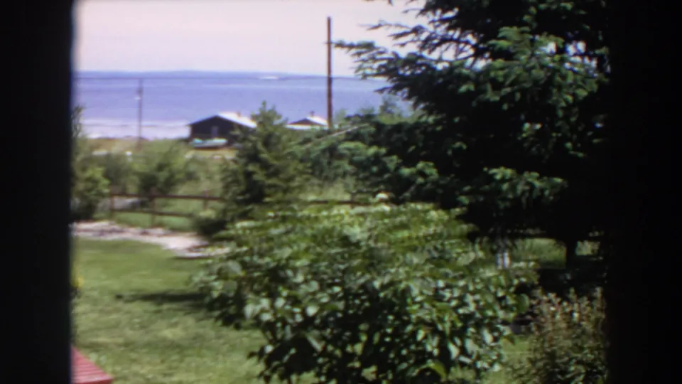 1964 Washington home-movie frame showing a lawn, shrubs, trees, utility poles, shoreline buildings, and calm water beyond.