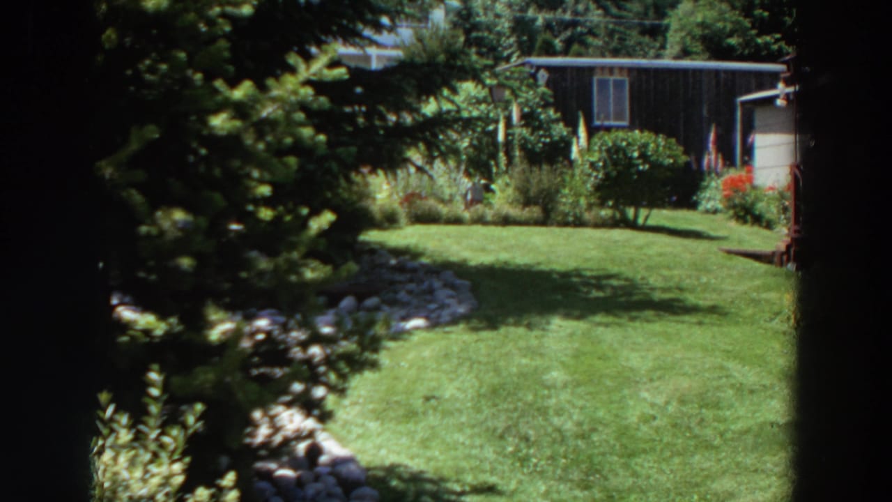 1964 Washington yard view with green lawn, shrubs, stone border, red flowers, and a neighboring house exterior in sunlight.