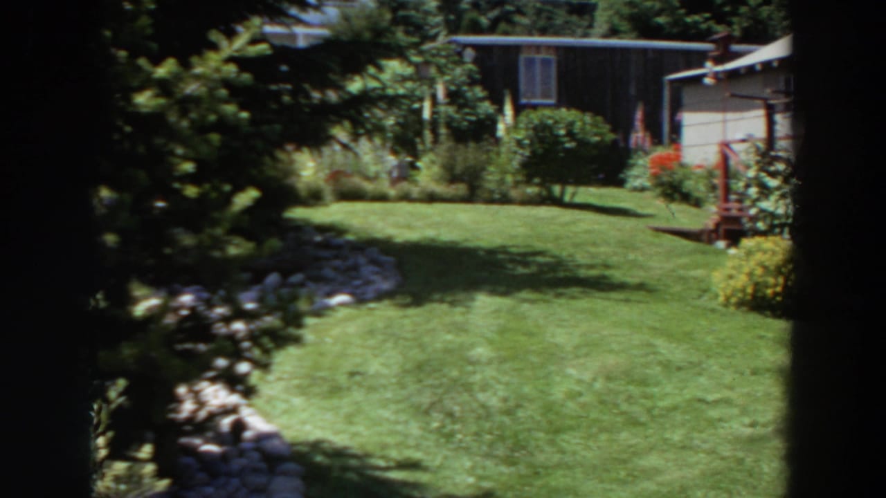 Green lawn and flower beds seen through dark foreground framing.