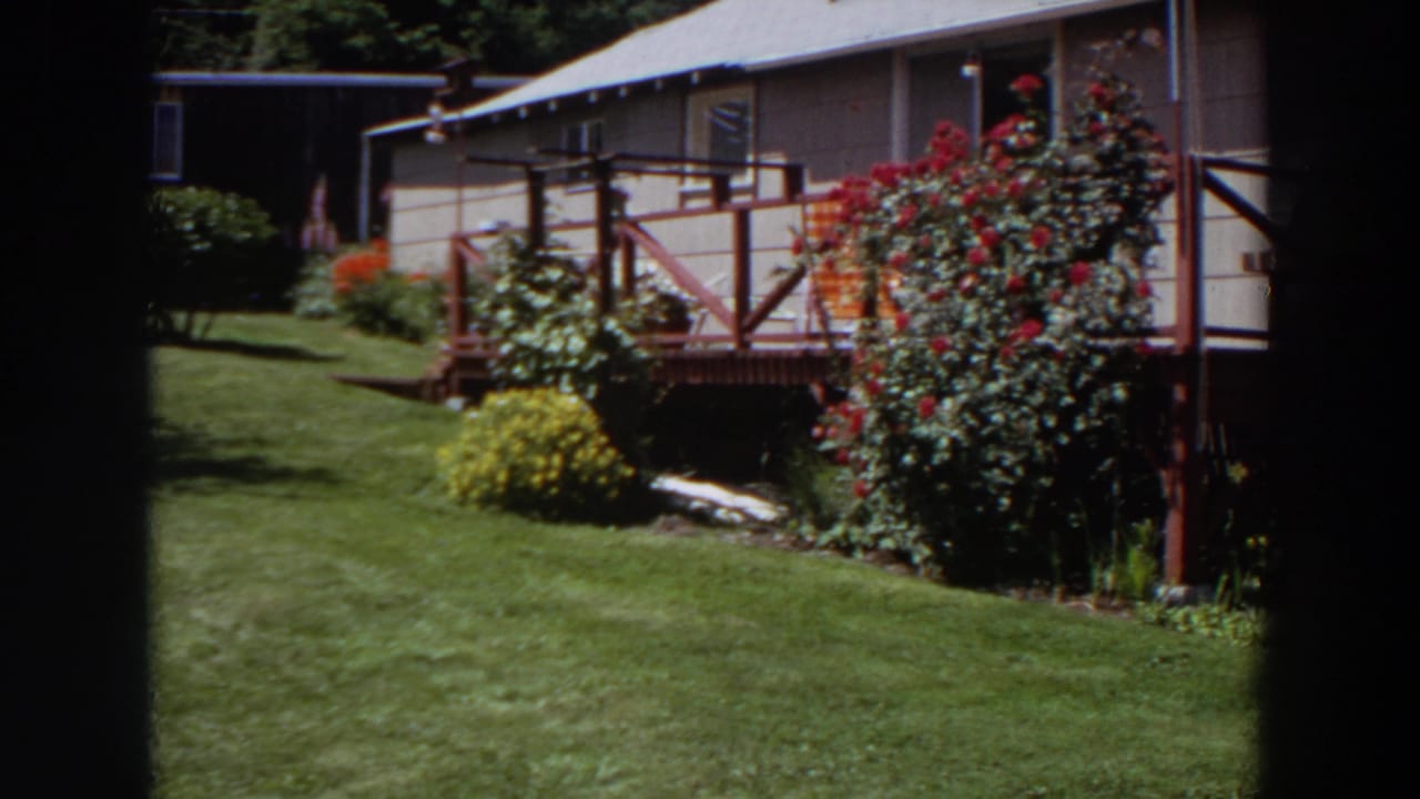 1964 Washington exterior view of a garden with a sloping lawn, red flowering shrub, low deck, steps, and house siding.