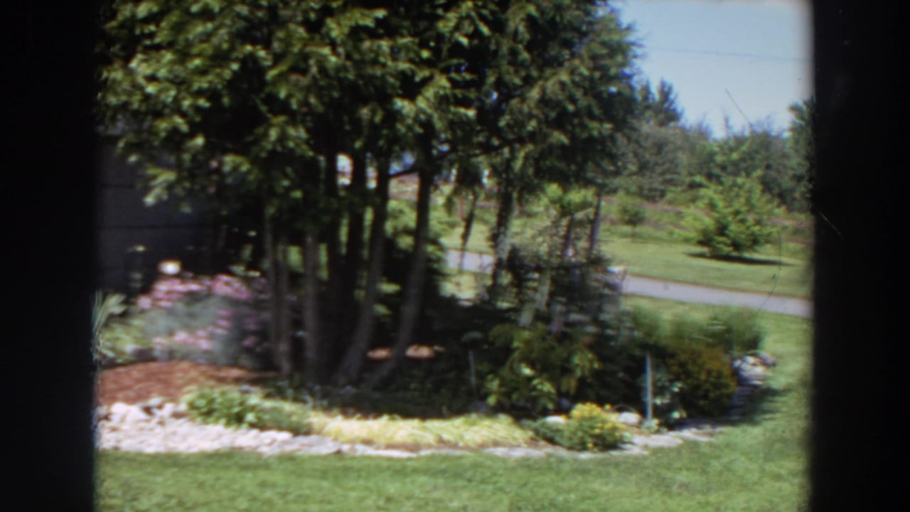 1964 Washington 8mm frame with tree trunks, landscaped beds, lawn, and a quiet road visible beyond the rural yard.