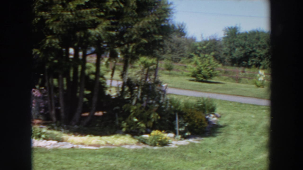 Mowed green lawn seen through a window, with shrubs, trees, road, and distant fence.