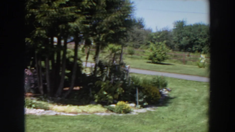 1964 Washington 8mm frame showing a sunlit mowed lawn viewed through a window, with shrubs, evergreens, a paved road, and a distant fence.