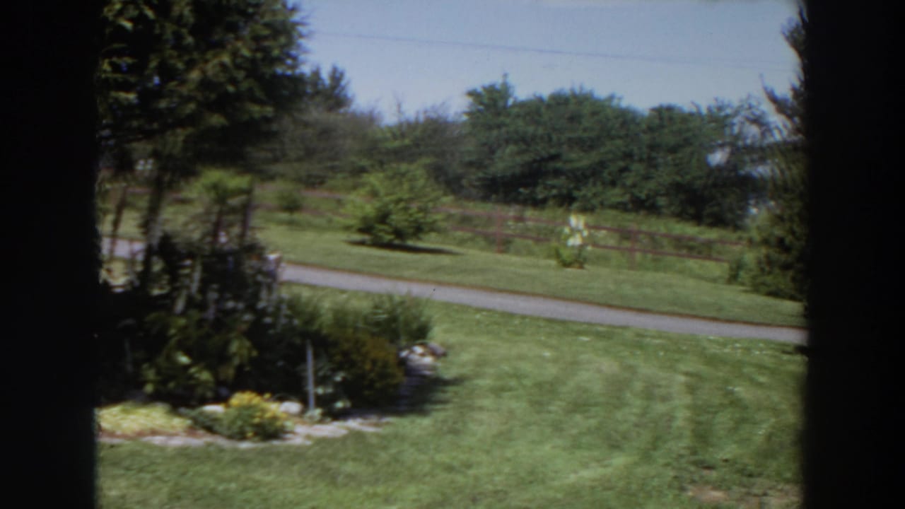 1964 Washington home-movie frame with a green lawn, garden shrubs, paved road, fence, and trees separated by dark window mullions.