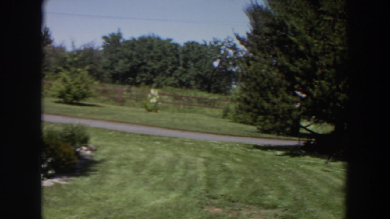 1964 Washington 8mm still from a slow pan across mowed grass toward a paved road, fence, shrubs, and a large evergreen tree.