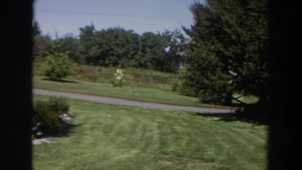 1964 Washington 8mm still from a slow pan across mowed grass toward a paved road, fence, shrubs, and a large evergreen tree.
