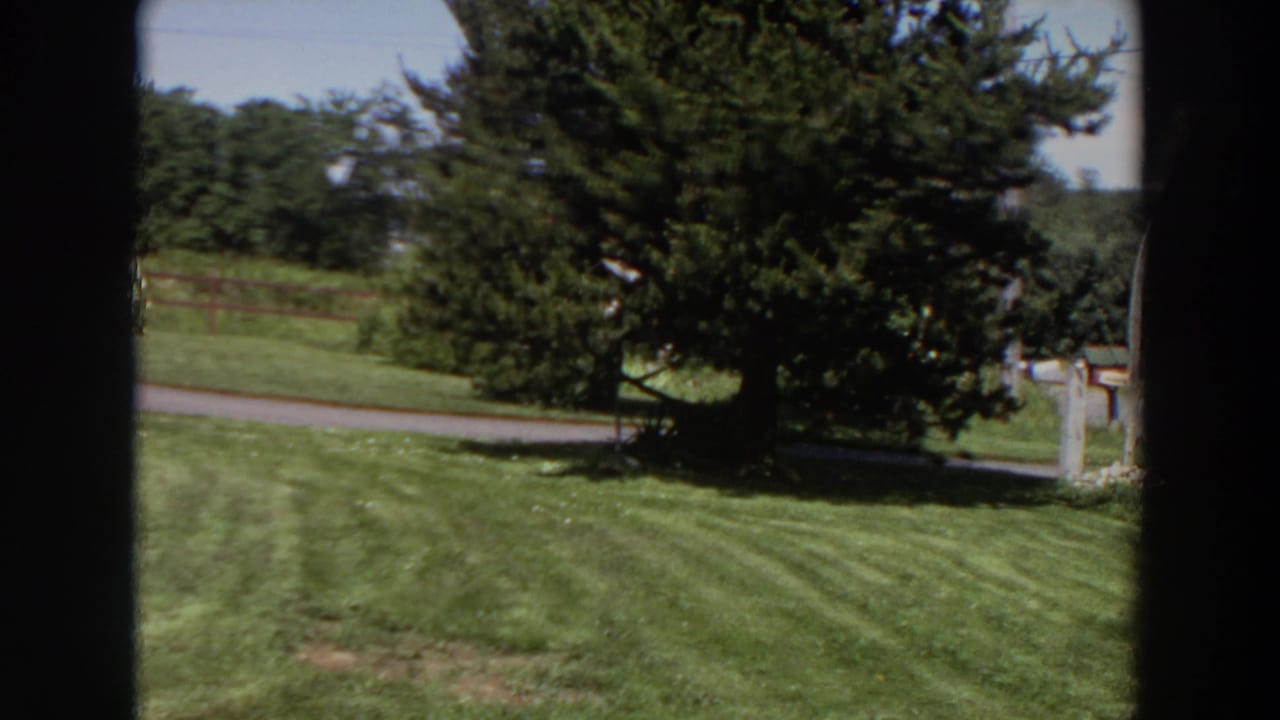 1964 Washington home-movie frame showing striped mowed grass, a large evergreen, a road, wooden fence, treeline, and a building edge at right.