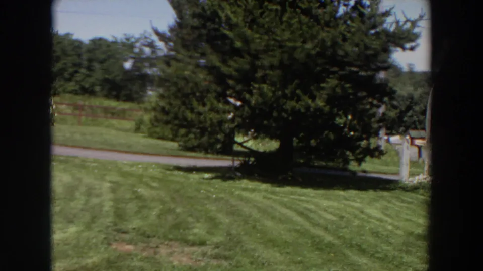 1964 Washington home-movie frame showing striped mowed grass, a large evergreen, a road, wooden fence, treeline, and a building edge at right.