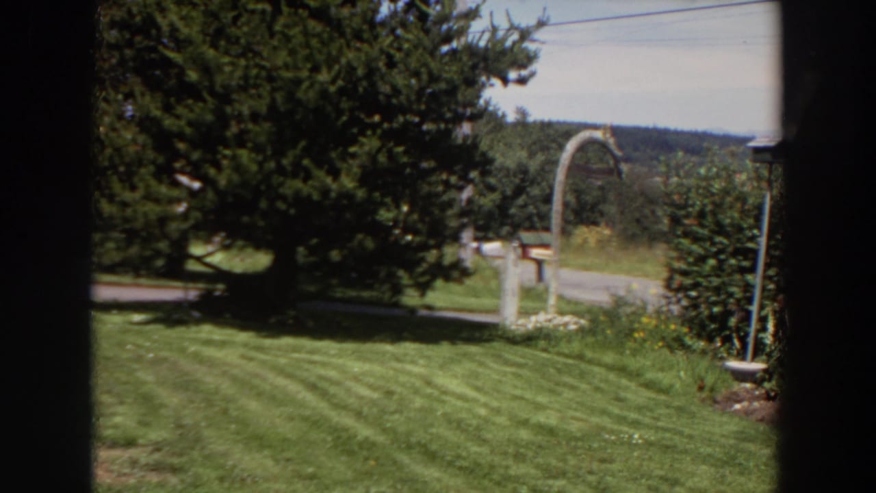 1964 Washington home-movie frame of a mown lawn, evergreen tree, hedge, and arched mailbox post seen from indoors or behind a window.