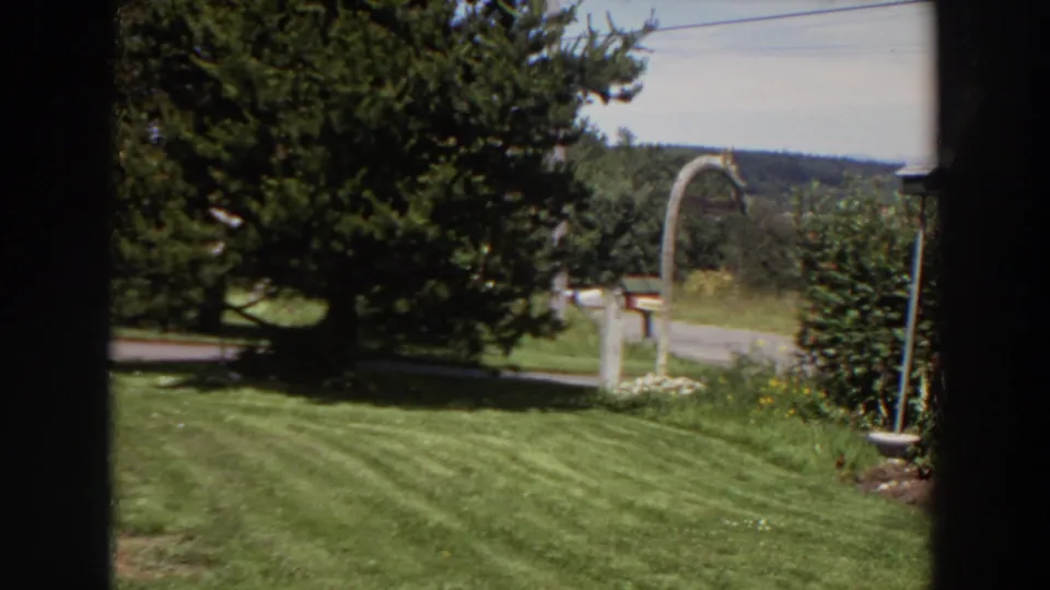 1964 Washington home-movie frame of a mown lawn, evergreen tree, hedge, and arched mailbox post seen from indoors or behind a window.