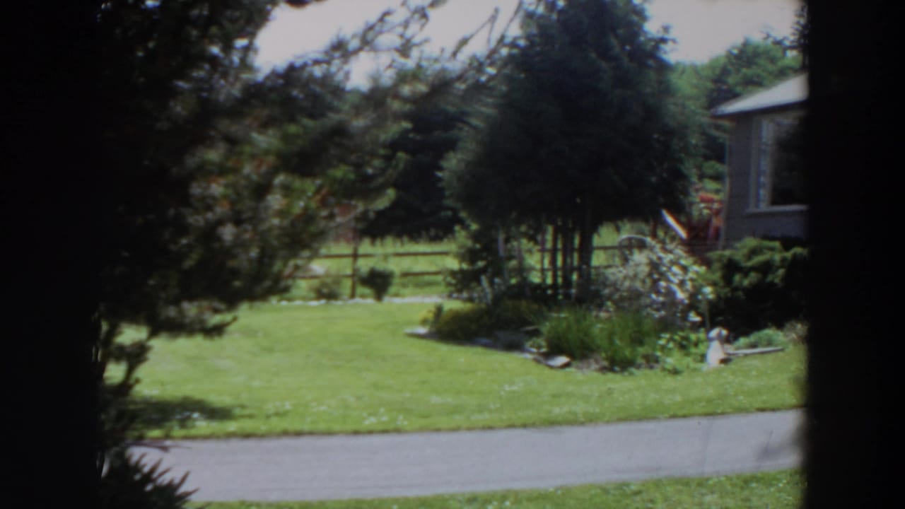 1964 Washington residential yard view with grass, mature trees, a wooden fence, and part of a house beyond a quiet road.