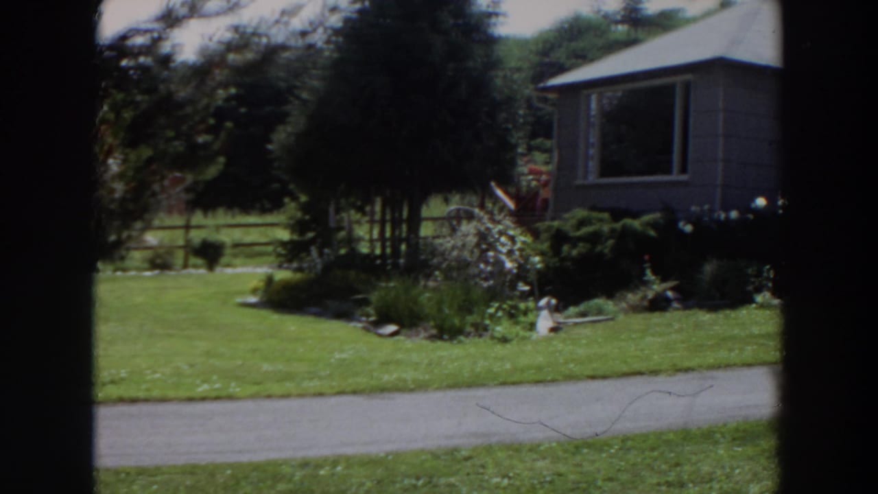 1964 Washington home-movie frame showing a green lawn, roadside strip, trees, fence, garden beds, and part of a gray house.