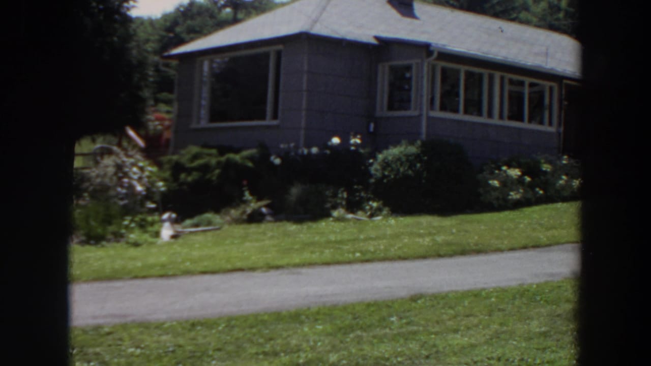Grey house behind a lawn and narrow driveway, with shrubs and white flowers along the front.
