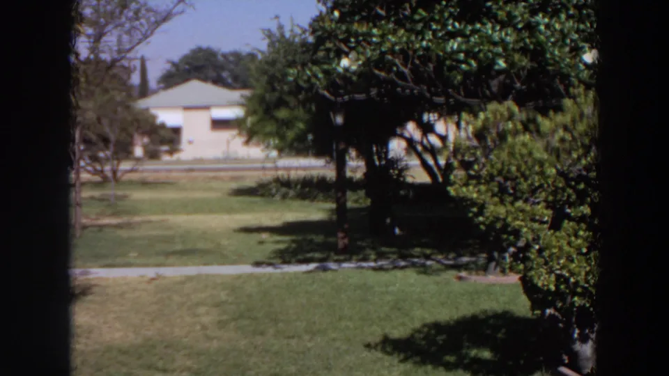 1964 Washington residential yard with a sunlit lawn, trees, shrubs, sidewalk, and a single-story house in the background.