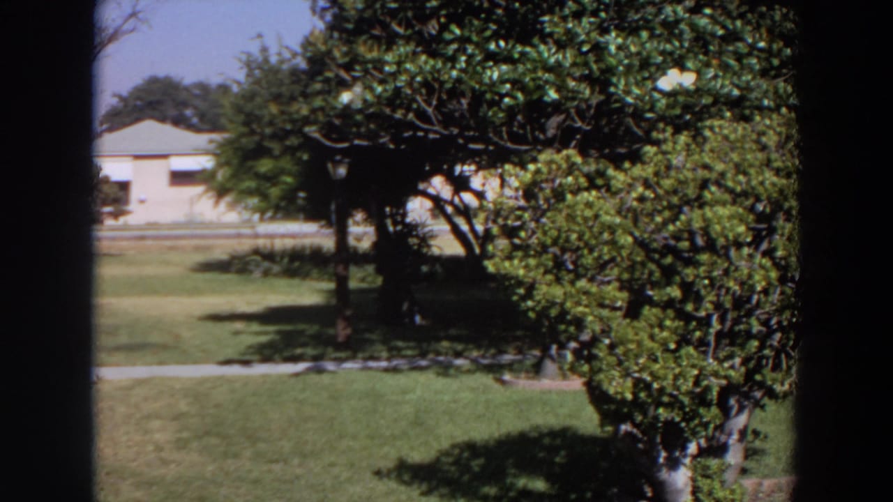 1964 Washington home-movie view of a residential lawn with shrubs, trees, sidewalk, and a house partly visible beyond.