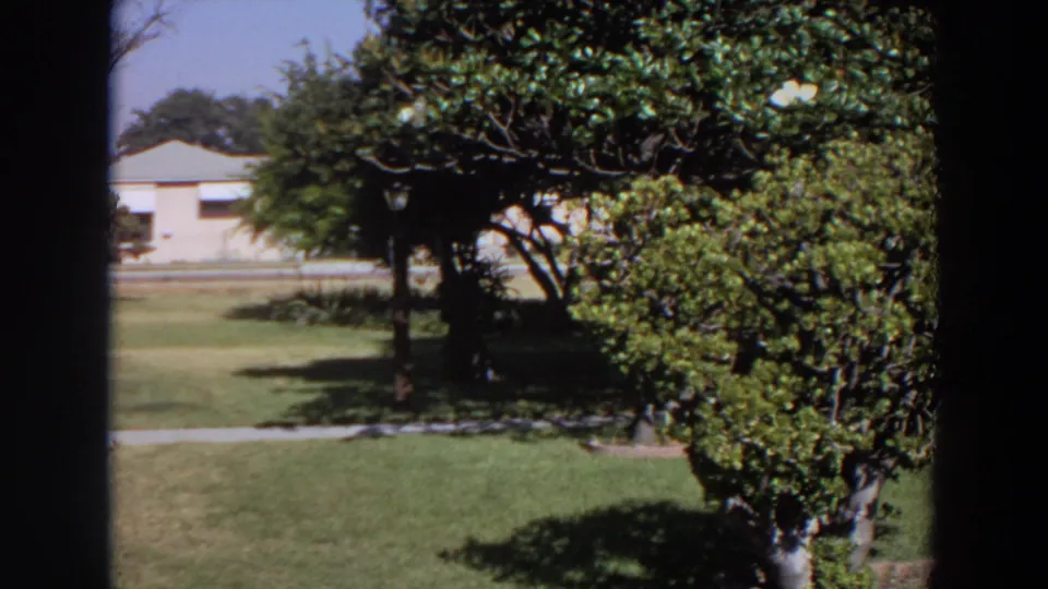 1964 Washington home-movie view of a residential lawn with shrubs, trees, sidewalk, and a house partly visible beyond.