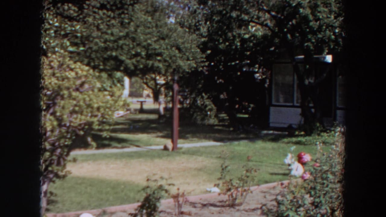1964 Washington home-movie frame showing a landscaped yard, small flowers, walkway, trees, and part of a white house beyond the lawn.