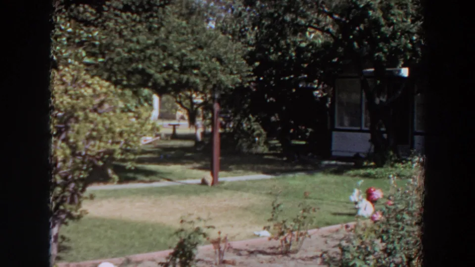 1964 Washington home-movie frame showing a landscaped yard, small flowers, walkway, trees, and part of a white house beyond the lawn.