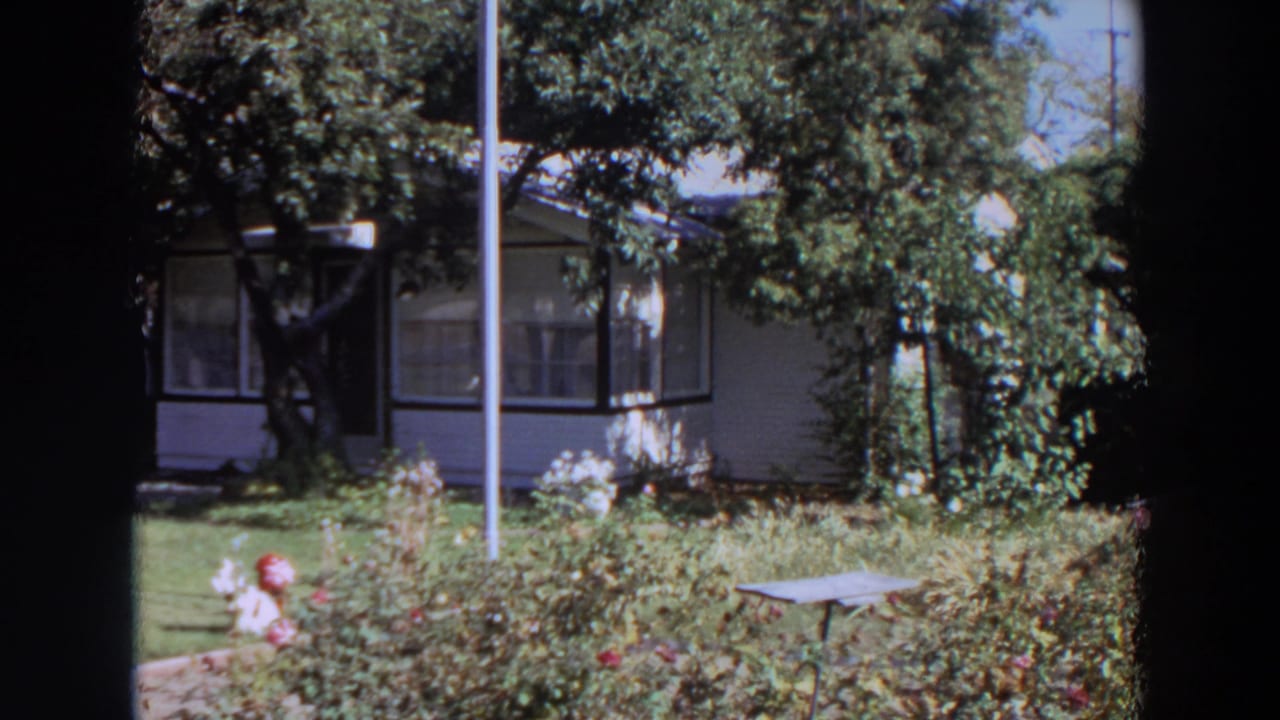 White house behind a lawn and garden bed with trees in sunlight.