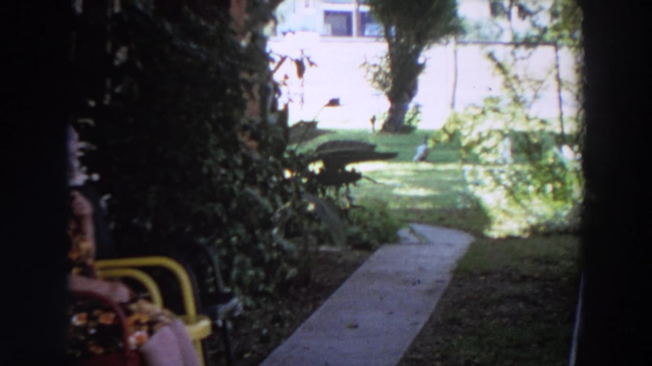 The frame shifts from the seated woman at left toward a bright lawn, shrubs, and a narrow path outside the house.