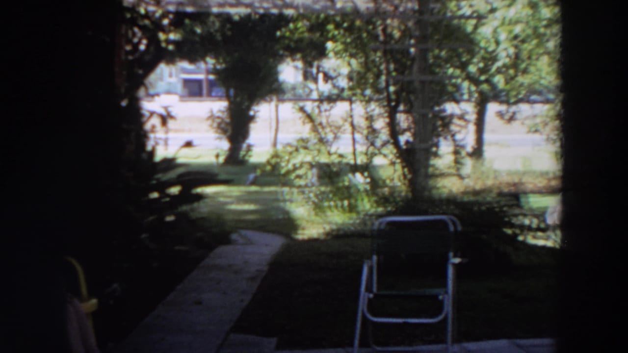 A quiet yard view shows a narrow path, shaded lawn, shrubs, house exterior, and an empty folding chair near the porch.