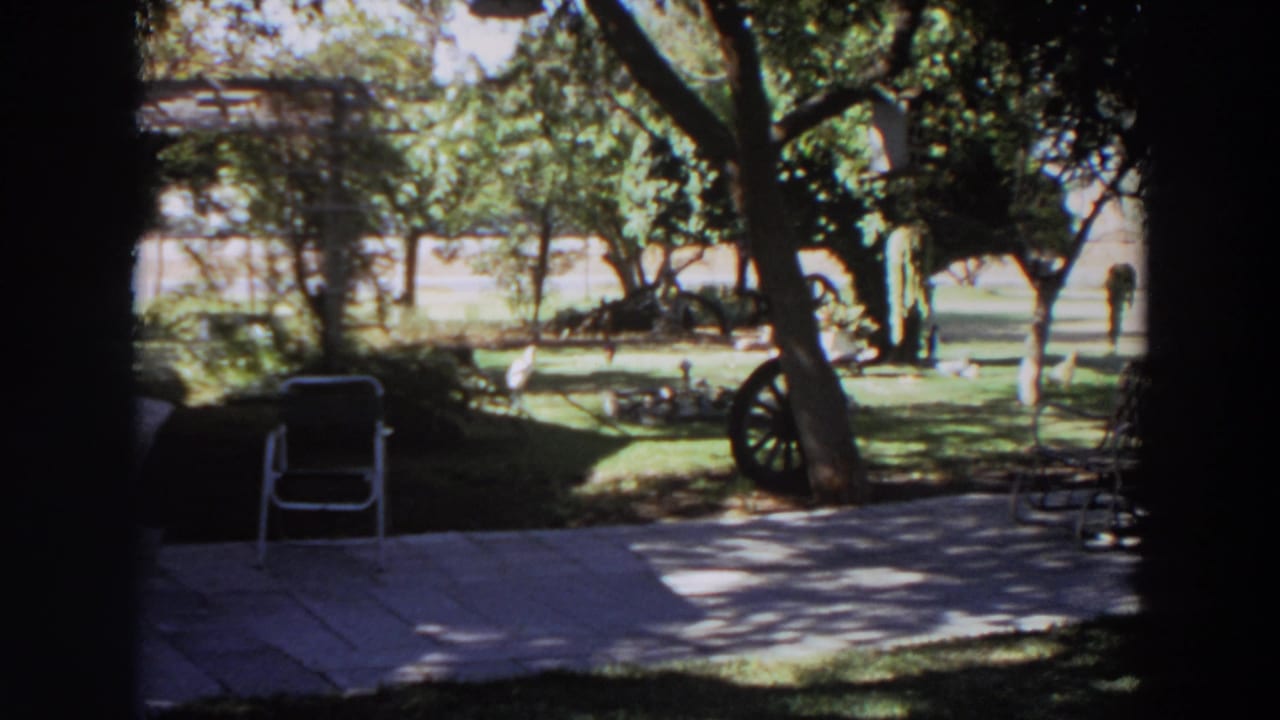 1964 Washington home-movie frame of a sunny backyard with patio, trees, wagon wheel, and an indistinct distant figure.