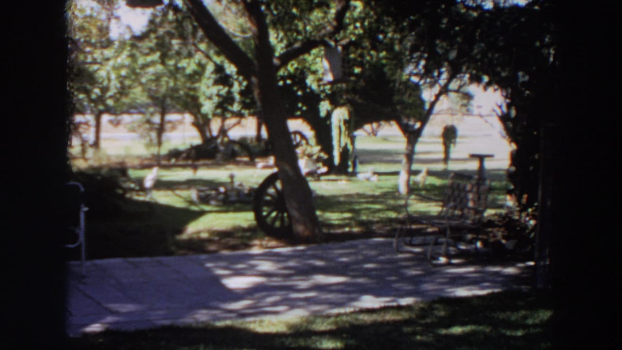 1964 Washington backyard frame with strong shade in the foreground and sunlit lawn decor beyond.