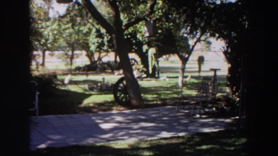 1964 Washington backyard frame with strong shade in the foreground and sunlit lawn decor beyond.