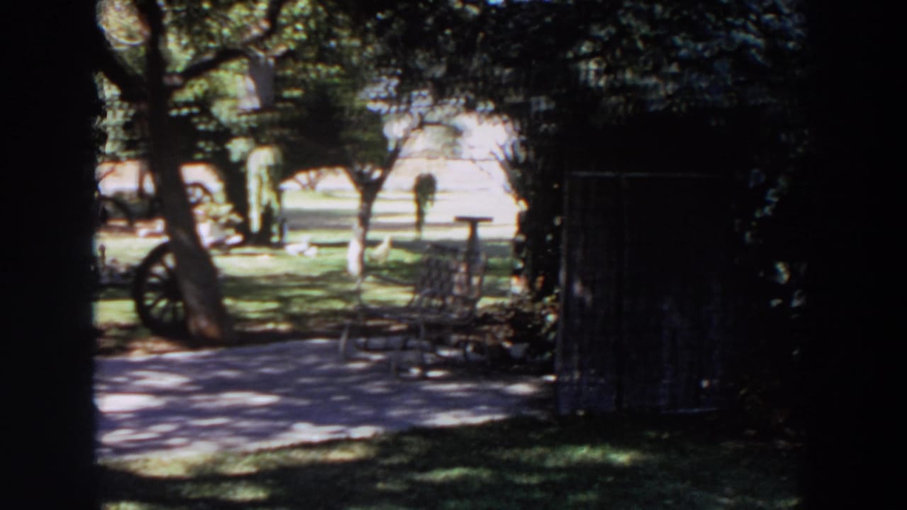 1964 Washington backyard view with trees casting shade over a patio, chair, lawn, and wheel near a trunk.