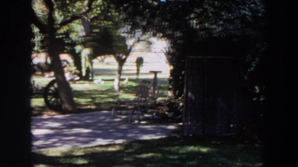 1964 Washington backyard view with trees casting shade over a patio, chair, lawn, and wheel near a trunk.