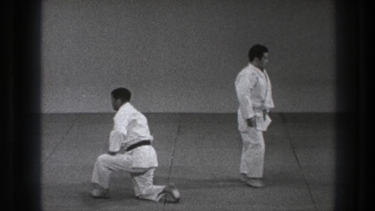 The two adult practitioners pause on the mat, one kneeling and one standing, after the martial arts throw sequence.