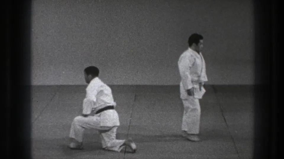 The two adult practitioners pause on the mat, one kneeling and one standing, after the martial arts throw sequence.
