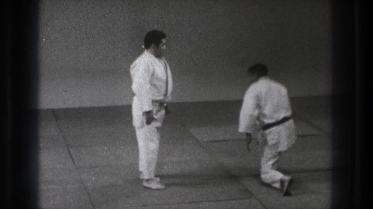One martial artist stands while the other rises from the mat nearby.